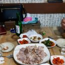 딱좋아포차 티스토리