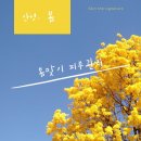 더스킨피부관리