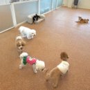 견생유치원 이미지