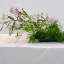 현대적기법 디자인하기-사선적 파라렐-vegetative parallel 이미지