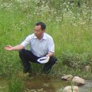 용동천 이미지