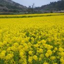 서편제 한옥펜션 이미지