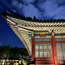 신하나유치원 | 서울 궁궐 덕수궁 야간개장 석조전 국립현대미술관, 돌담길 산책