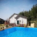 대숲사이 이미지