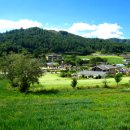 메밀꽃필무렵 이미지