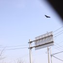 마켓진양호평택점 | 평택 카페, 마켓진양호 평택점 방문 후기~