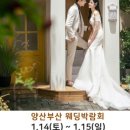 프라자웨드 이미지