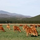 추진목장 이미지