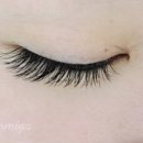 예인미가 이미지