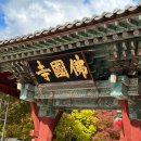 [경주] 2박 3일의 일상_함양집, 신라제면, 유로빌펜션, 경주빵, 불국사, 동궁과 월지
