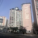 유림-1145 이미지