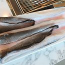 숲속장어 이미지