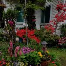 꽃님이네 이미지