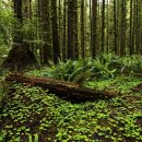 작은창 큰풍경 이미지