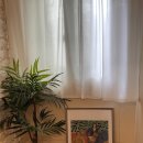 더스테이휴 이미지