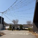 통나무집닭갈비남춘천점 | 통나무집닭갈비 남춘천점 포장 후기 | 밀키트 캠핑 요리 추천