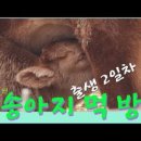 도릉농원 이미지