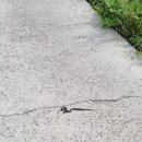 학동마을 이미지