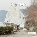 [춘천 겨울 여행/춘천 가볼만한곳] 남이섬 입장권 할인 꿀팁 ! 겨울 남이섬 여행 찐 후기