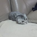 예쁘다움 이미지