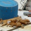 품안농장 이미지