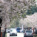 하모니카 연주 이미지