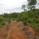 DS 태양광발전소 이미지