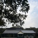 창우목장 | (제주스냅) 제주 943스냅/하이재이 제주웨딩촬영 끝-