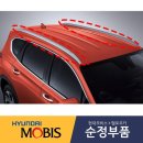 플러쉬 레일(flush rail) = Rail형 Roof Rack 이미지