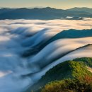 산의향기 이미지