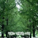 슬로밤부 이미지