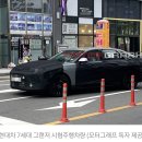 신형 그랜저 사전 계약 8만대 지금 계약해도 내후년에 ㄷㄷ.gisa 이미지