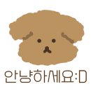 드라그셋/홍대돈부리/초롱꽃마을완미족발/일산너비아니/서대문막썰이회/신라스테이서대문/롯데백화점본점