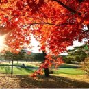 금강골프클럽 이미지