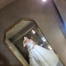 하우스오브도트 이미지