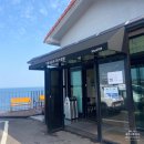 낭그늘 펜션 | [제주여행] 신혼여행 3일차!-제주 동부 여행 / 인생사진을 옴팡지게 남기겠다는 강한 의지