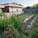 학군농장 이미지