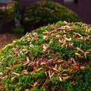 문경예송원 이미지