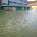 약산낚시터 이미지