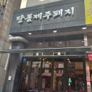 탄통제주돼지 이미지