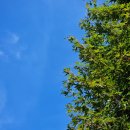 애니카랜드 행신점 | 자동차 배터리 방전 육아는 방전되면 안 돼요