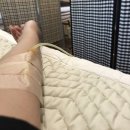 중앙대 안경원 이미지