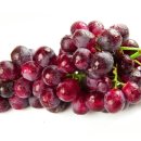 바른선한의원 이미지