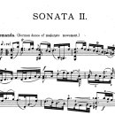 손 혈자리 수지요법 이미지