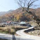 영주 의산서원 이미지