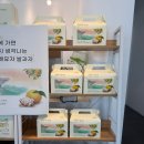 24년도 Food Startup 지원사업 수혜기업 2개소 면담(24.11.05.)