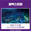블랙스트링 콘서트 이미지