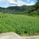 청풍농장 이미지