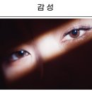 다비치안경대전역점 이미지