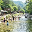 정각자동차정비 | 2026 기아자동차 생산직 채용 총정리: 공고 일정/인원/서류/스펙/우대 자격증/접수 사이트까지 완벽 가이드